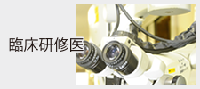 臨床研修医